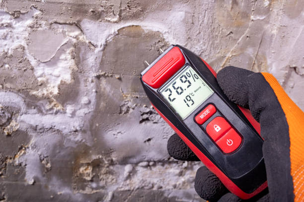 Best Mold Testing  in Dixmoor, IL