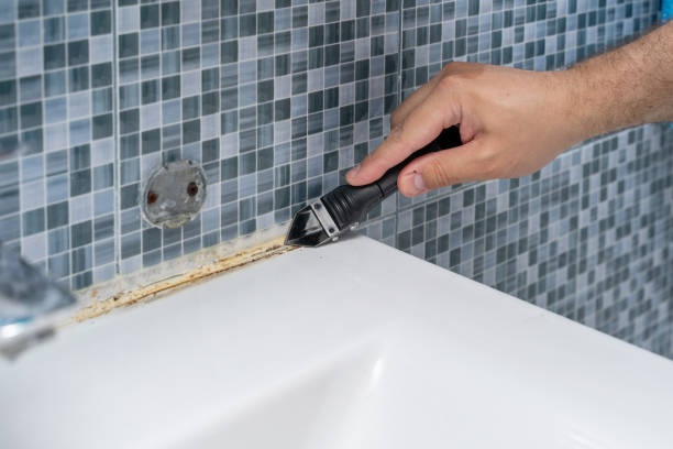Dixmoor, IL Mold Removal Company
